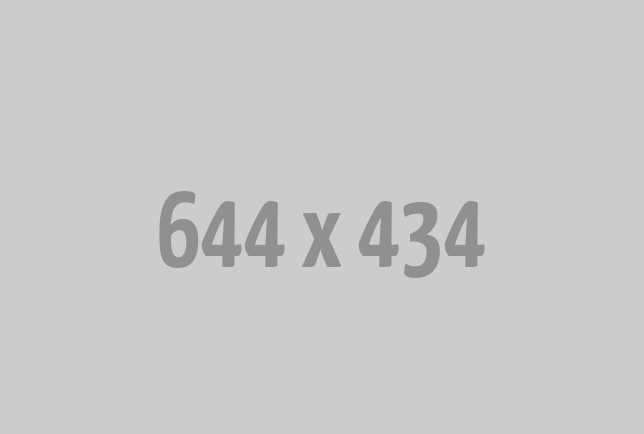 Digital Marketing Agency for SEO, Ads & Branding
